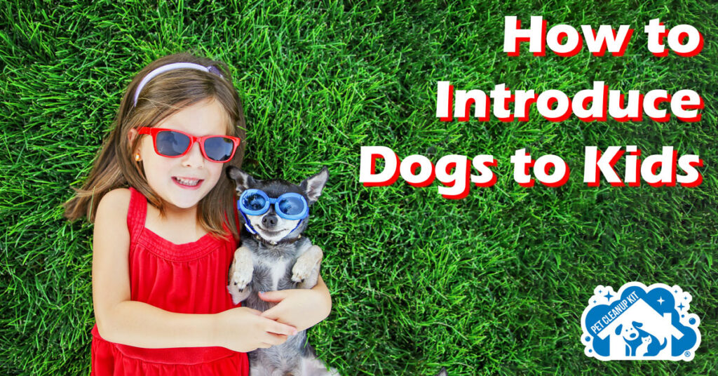 How to Introduce Dogs to Children - Pet Cleanup Kit